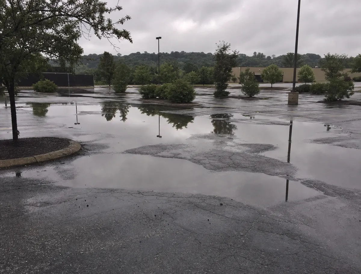 An empty, cracked parking lot has large puddles reflecting cloudy skies and nearby trees after rain. Some greenery and lamp posts are visible in the background.